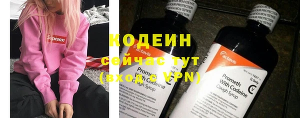 прущие грибы Арсеньев