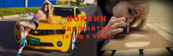 прущие грибы Арсеньев