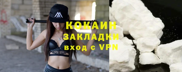 прущие грибы Арсеньев