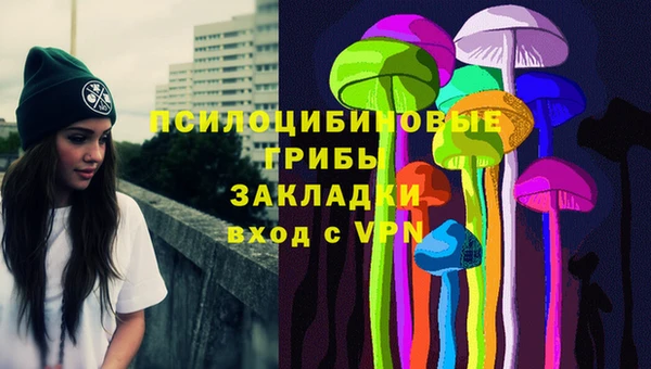 прущие грибы Арсеньев