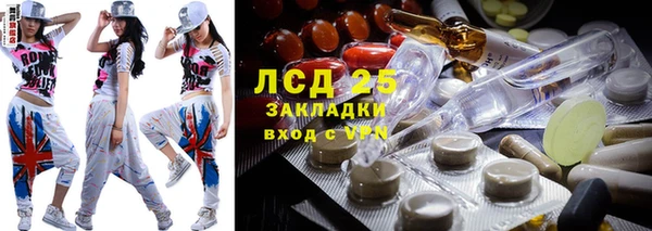 прущие грибы Арсеньев