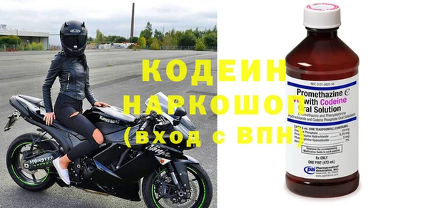 прущие грибы Арсеньев