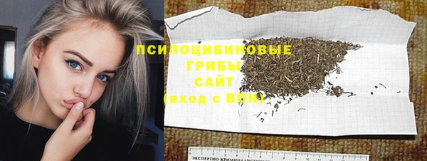 прущие грибы Арсеньев