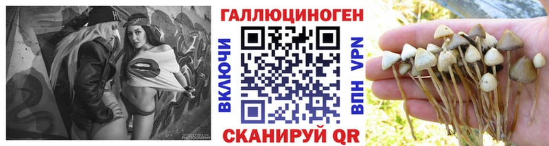 Псилоцибиновые грибы прущие грибы  купить наркотик  Октябрьск 